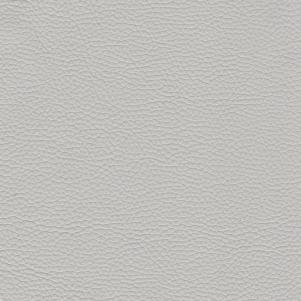 URUGUAY LEATHER Powder 1008