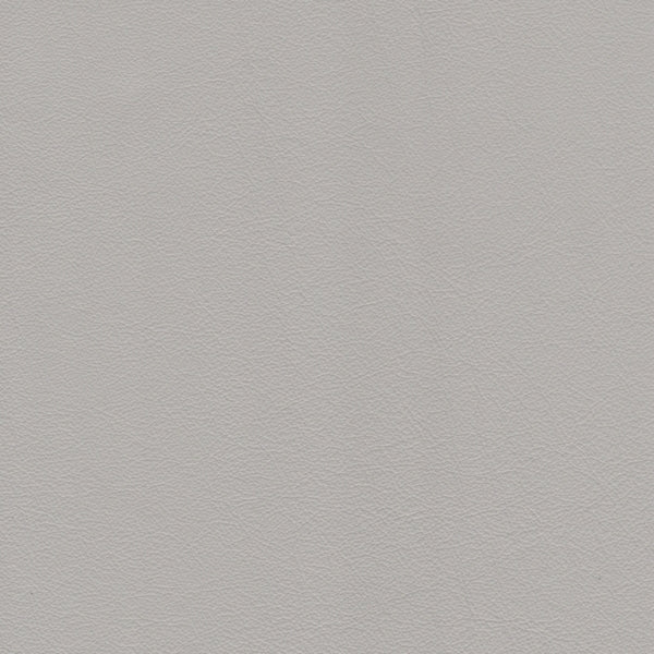 ELEGANCE LEATHER Ice 2015