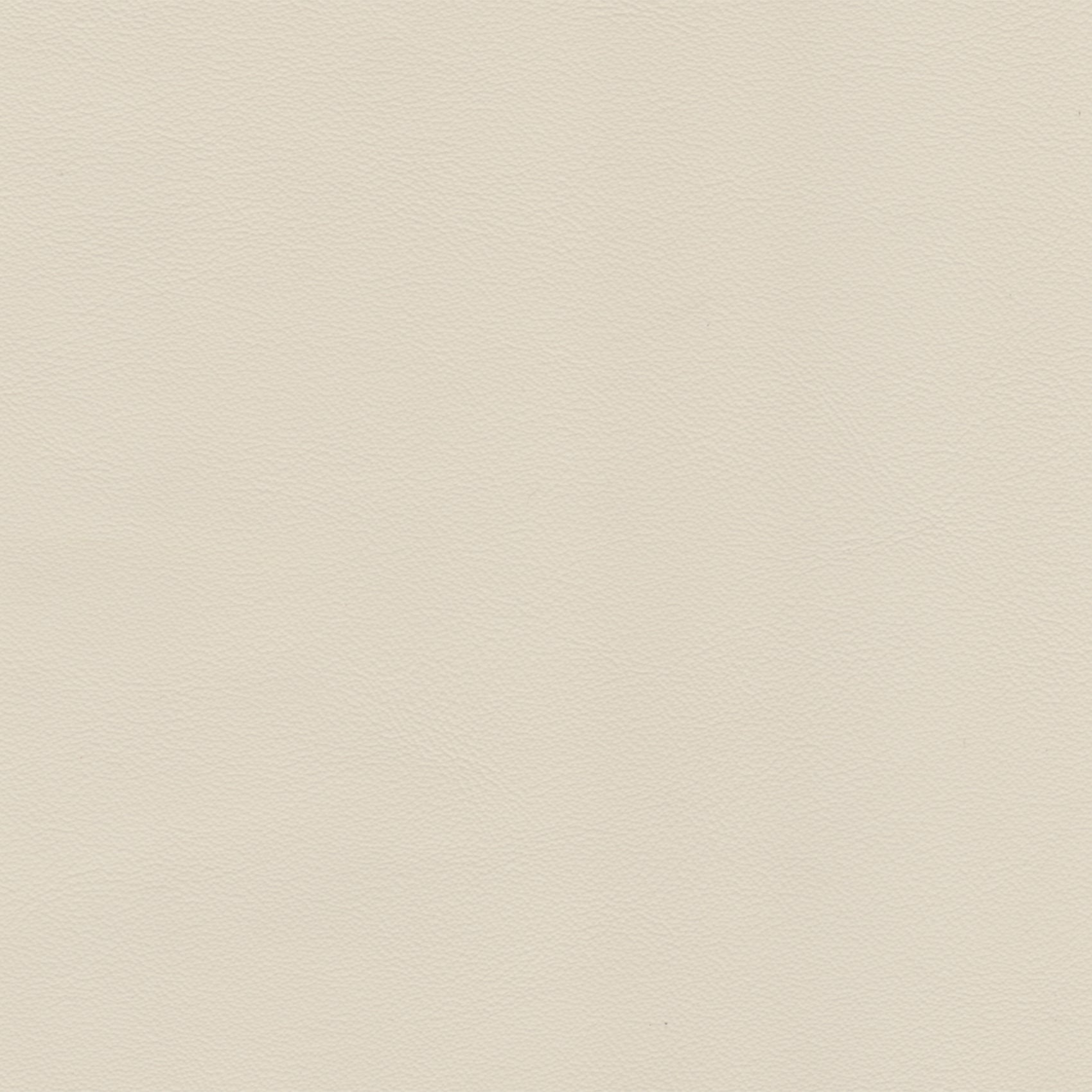 ELEGANCE LEATHER Cream 2023
