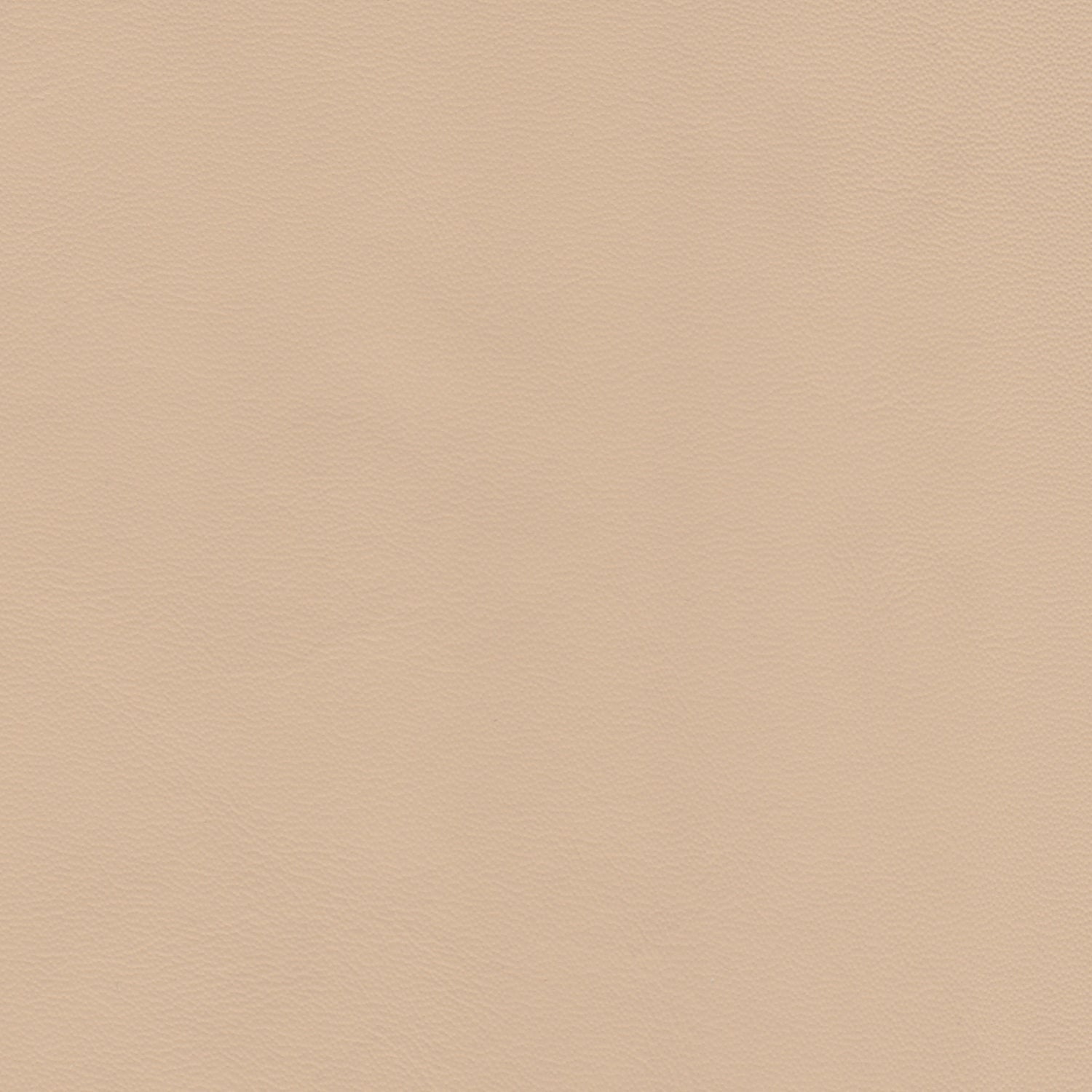 ELEGANCE LEATHER Nude 2033