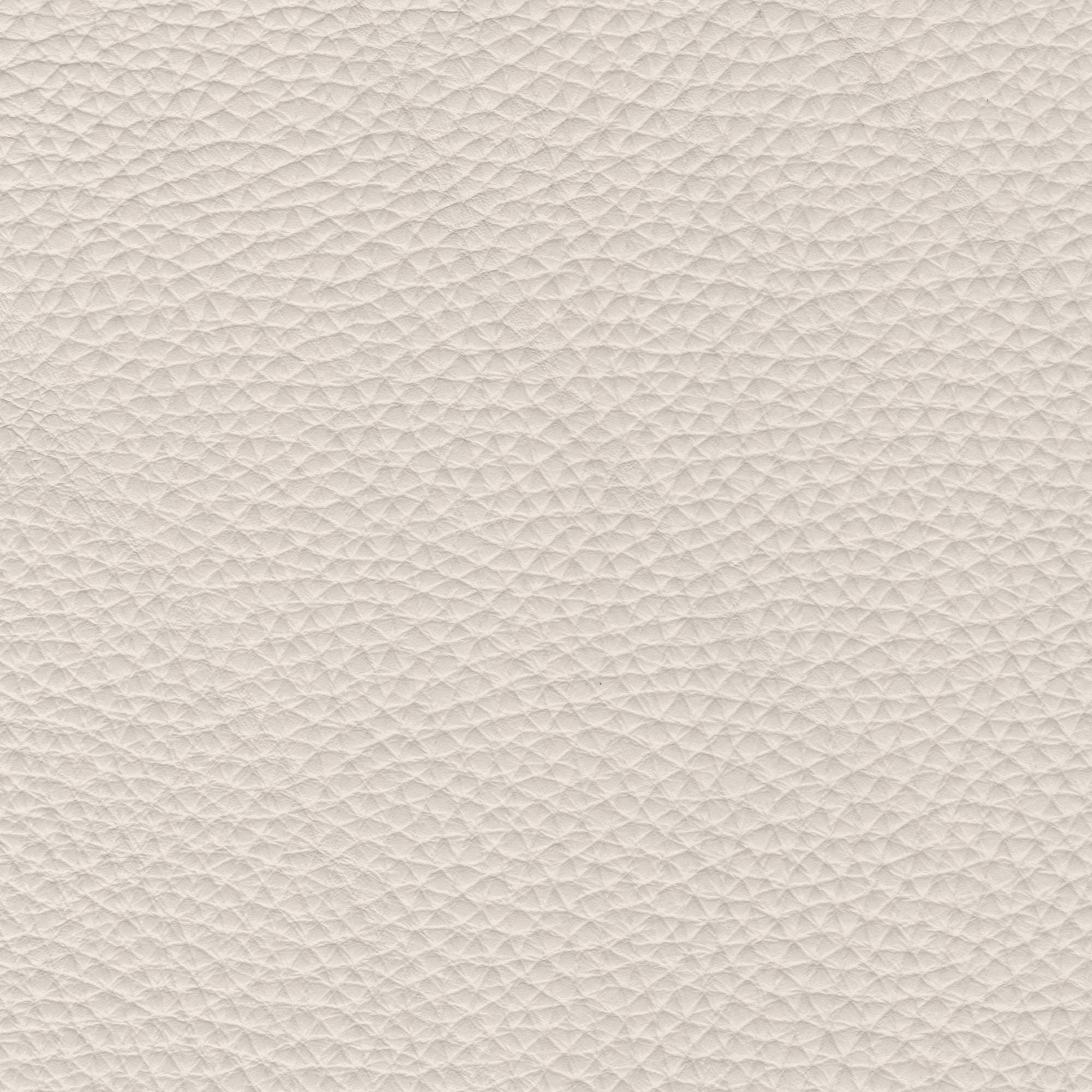 PELLE PAMPLONA Oyster 6502