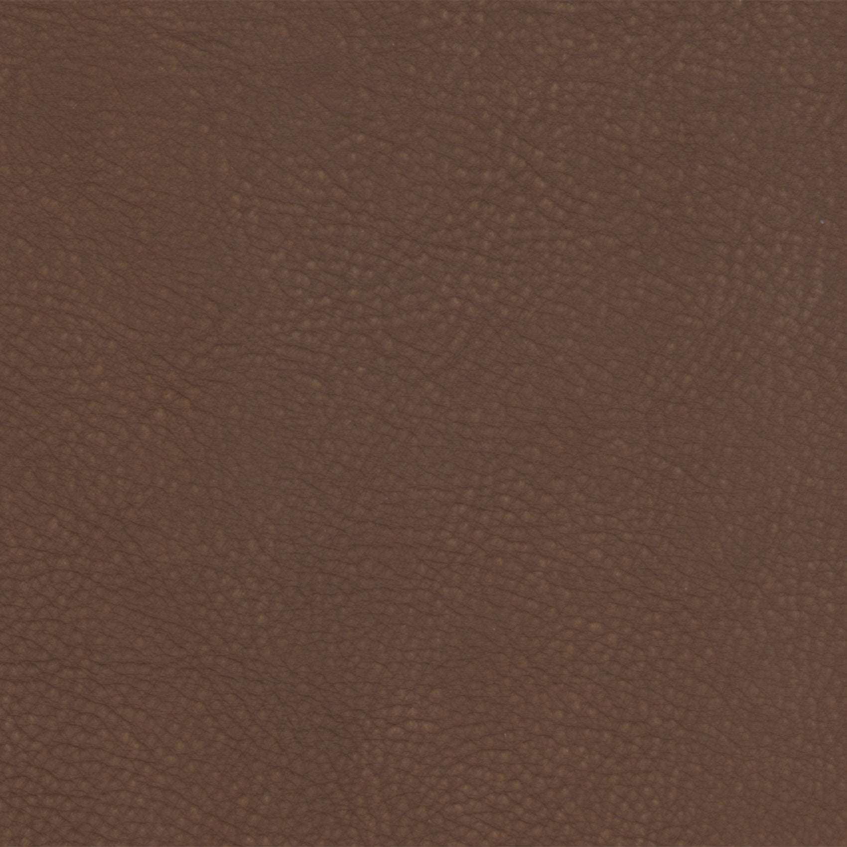 PELLE MAYA Cacao 7323