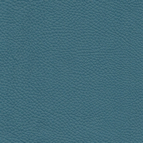 SPESSORATO LEATHER Blue Marine 3020