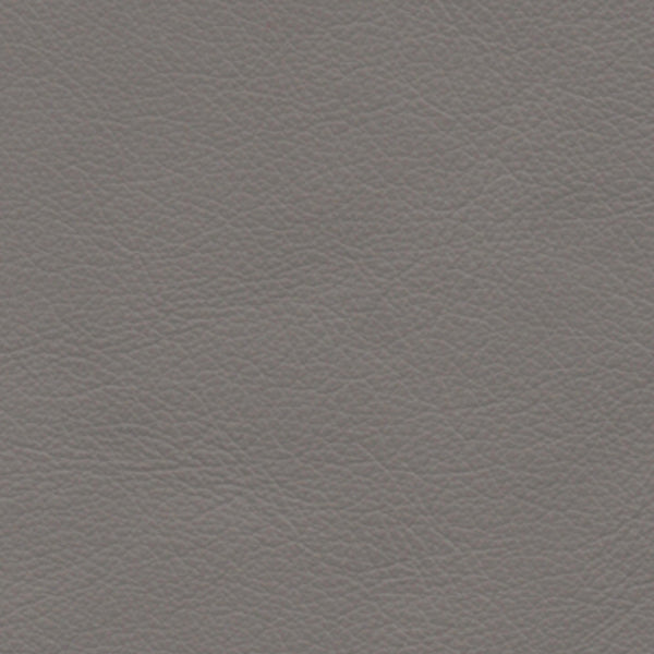 ELEGANCE LEATHER Light Grey 2010