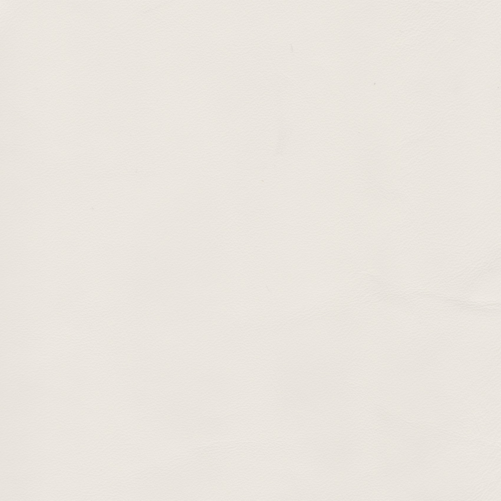 ELEGANCE LEATHER Snow 2022