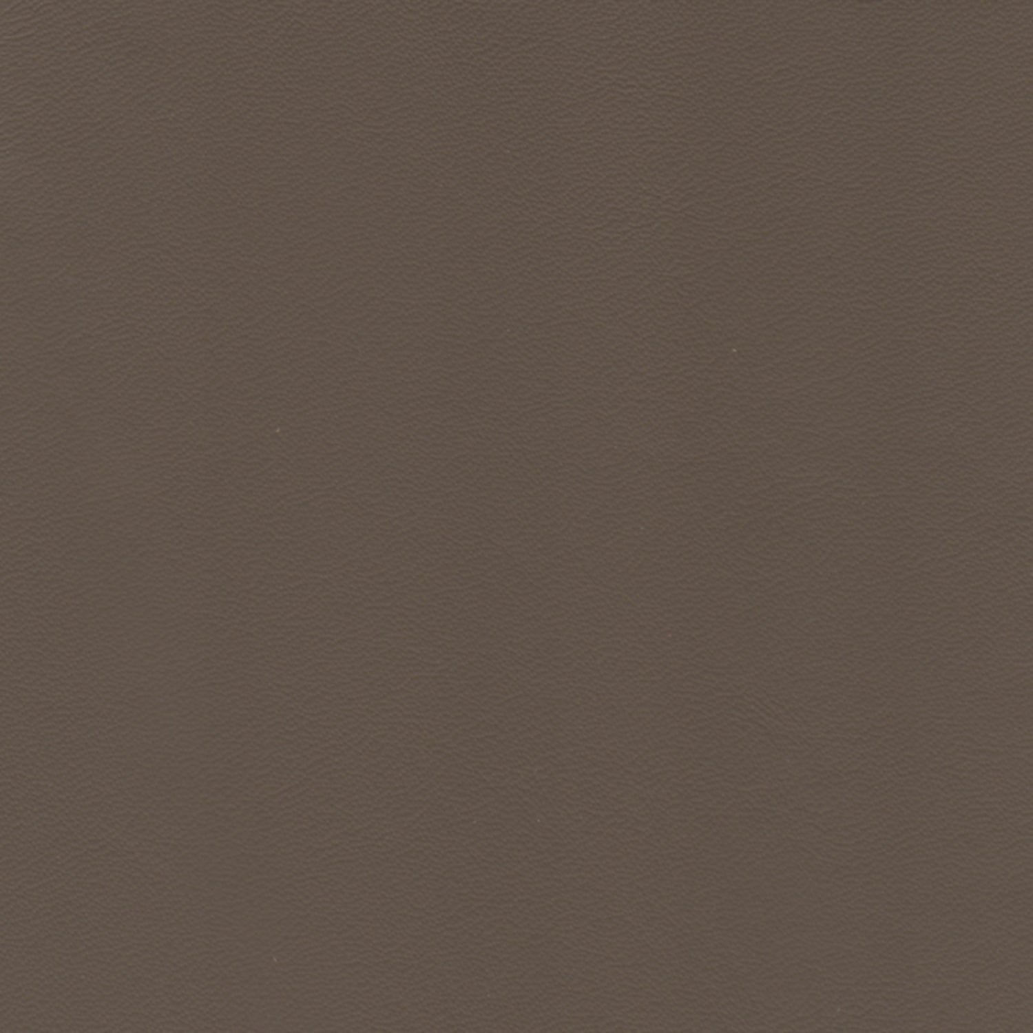 ELEGANCE LEATHER Coffee 2031