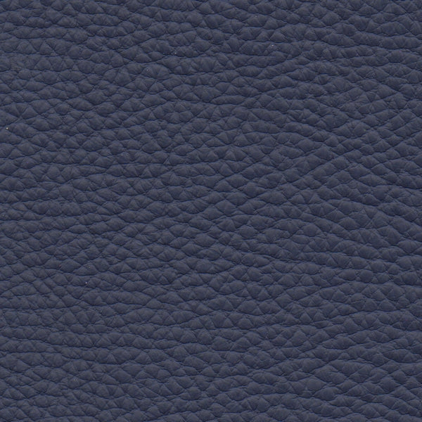 SPESSORATO LEATHER Prussia 3023