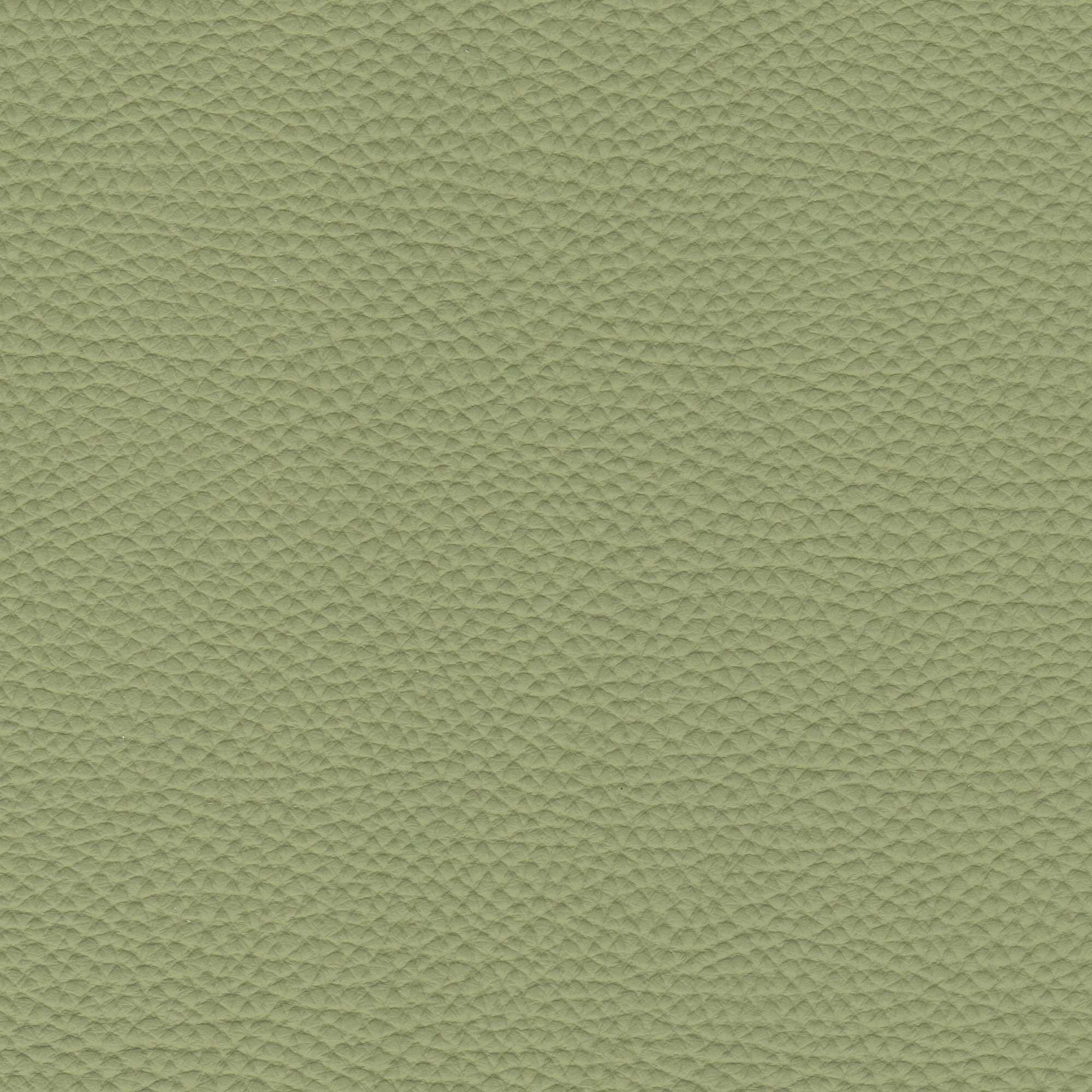 PELLE SPESSORATO Aloe 3032