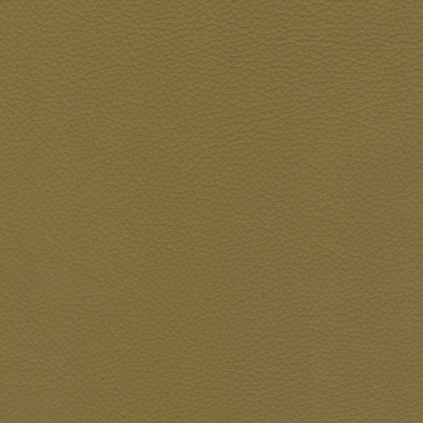 BRINA LEATHER Kiwi 5208