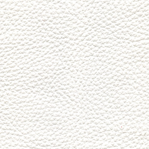 SPESSORATO LEATHER White 3009