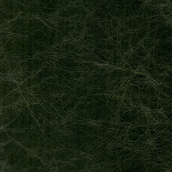 ETRUSCO LEATHER British Green 8003