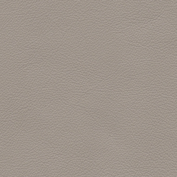 ELEGANCE LEATHER Suede 2011