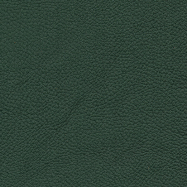 SPESSORATO LEATHER Forest 3021